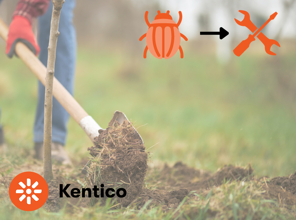 Planting a tree for Kentico's Trees for Bugs Initiative