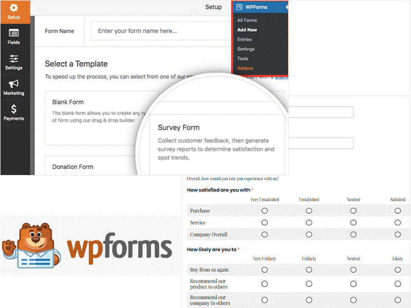 WPForms Plugin