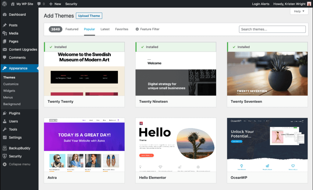 WordPress themes