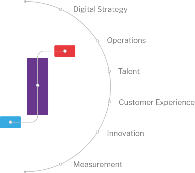 Digital Maturity Factors