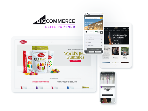 BigCommerce Website Design & Development Project Examples