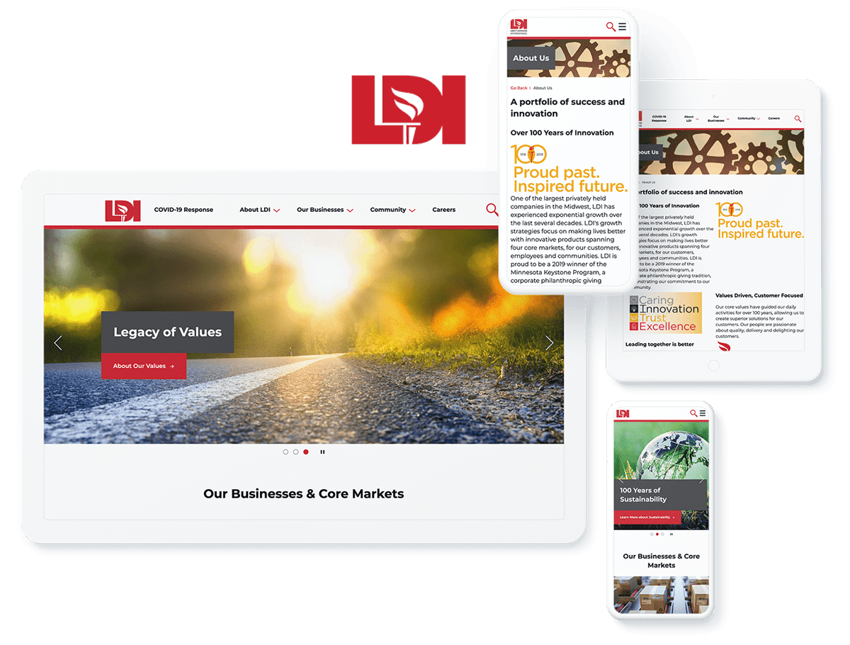 LDI website design and development