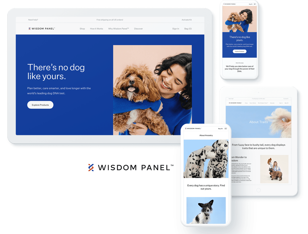 Pet health website design and development